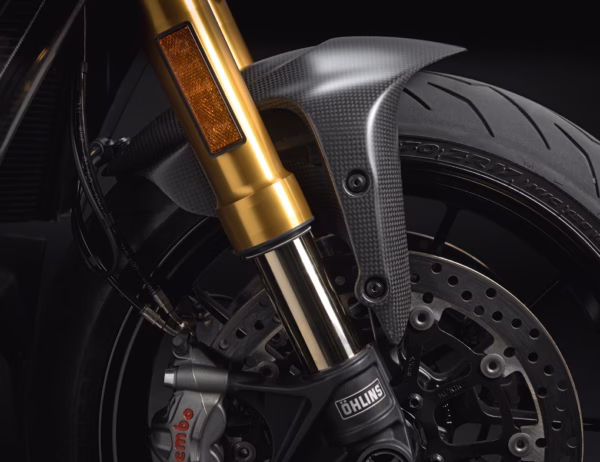 Carbon Front Mudguard – Diavel