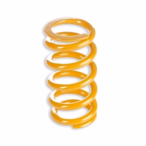 TTX Panigale Shock Spring