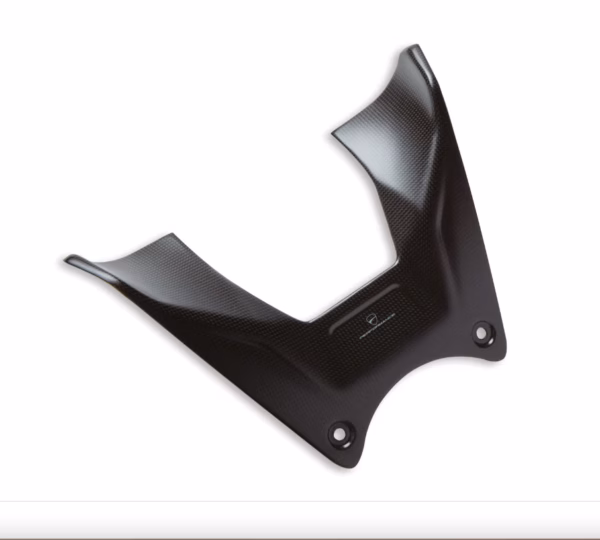Carbon Fuel Tank Cover – Diavel V4