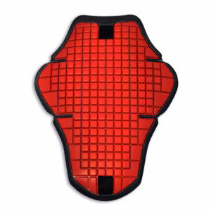 Warrior 2 Back Protector