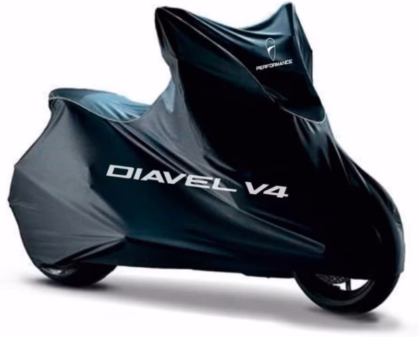 Ducati Diavel V4 Indoor Bike Canvas