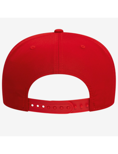 NE DC Classic - Cap - Image 2